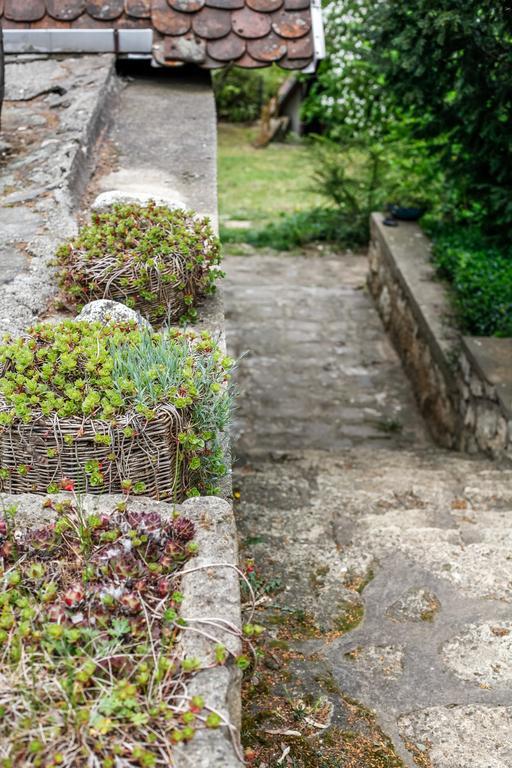 Myrtus Pince és Vendégház Tarcal Exterior foto
