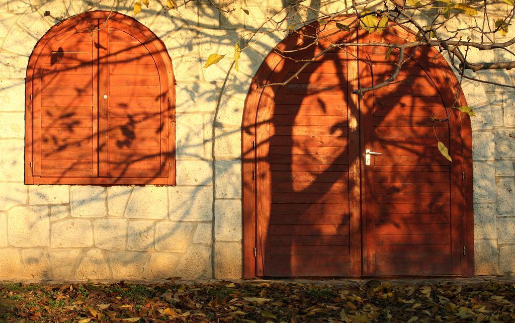 Myrtus Pince és Vendégház Tarcal Exterior foto